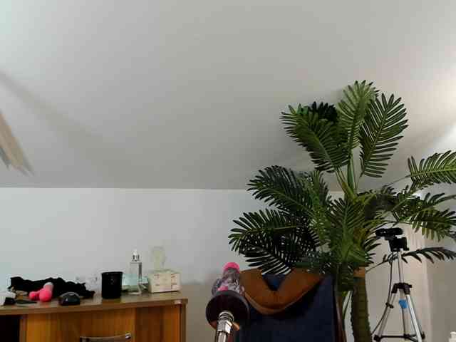 karlahartley webcam