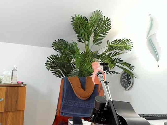 karlahartley webcam