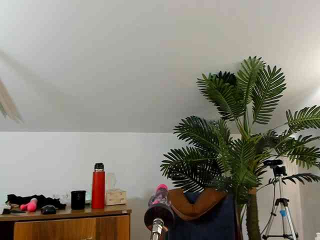 karlahartley webcam