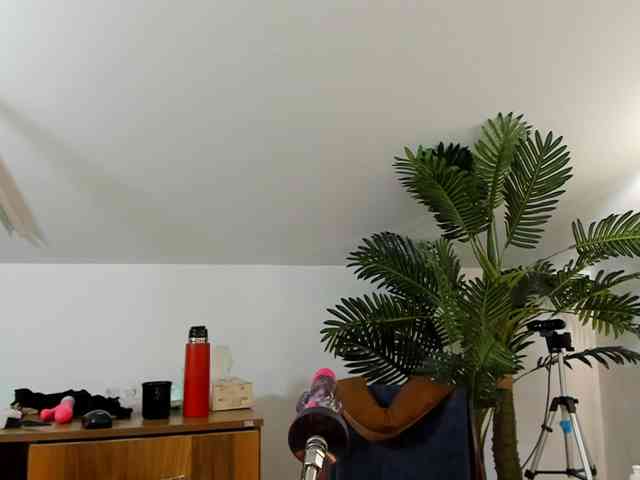 karlahartley webcam