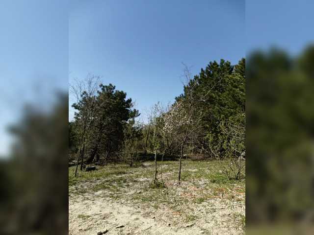 -Pypsiki-'s BongaCams profile