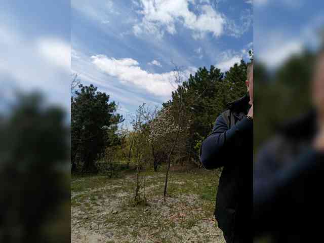 ___Pypsiki___ webcam