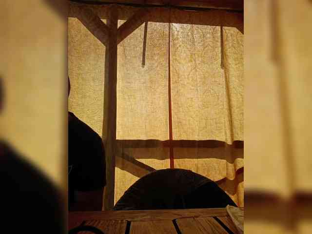 ___Pypsiki___ webcam