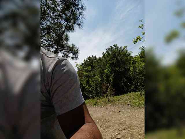 Model: ___Pypsiki___