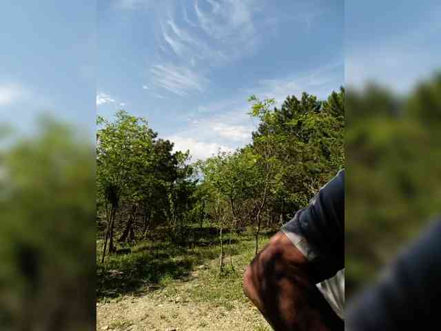 Model: ___Pypsiki___
