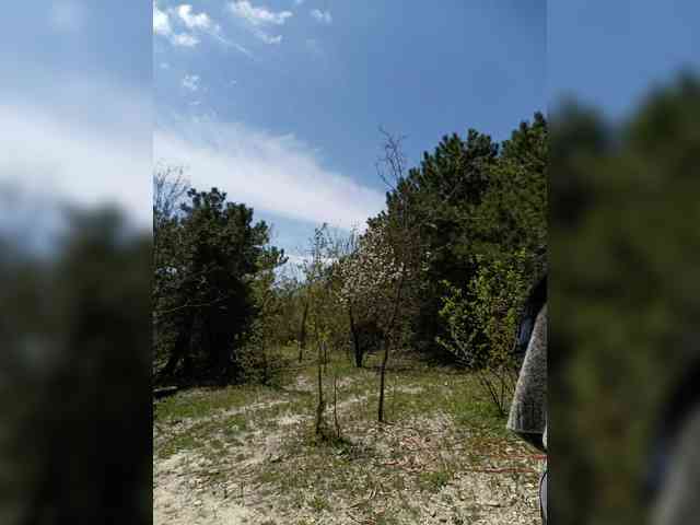 Model: ___Pypsiki___