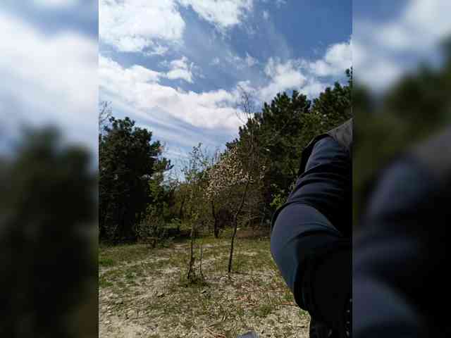 ___Pypsiki___ webcam