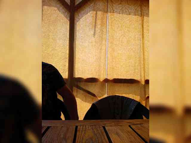 ___Pypsiki___ webcam