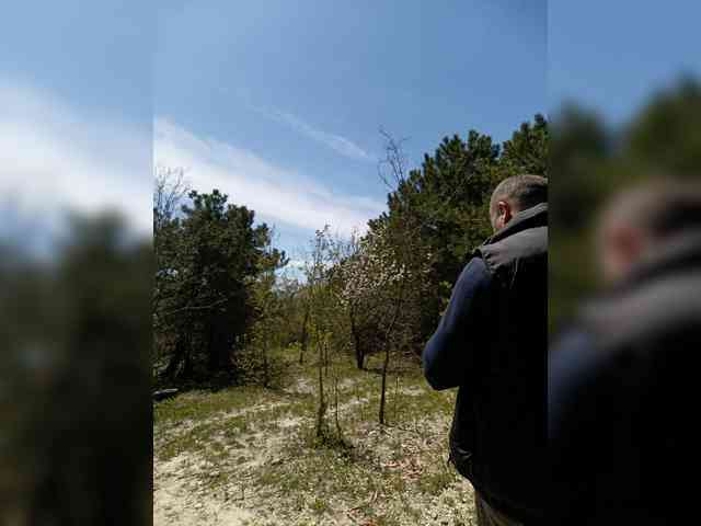 ___Pypsiki___ webcam