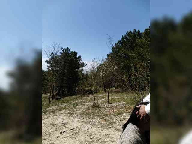 ___Pypsiki___ webcam