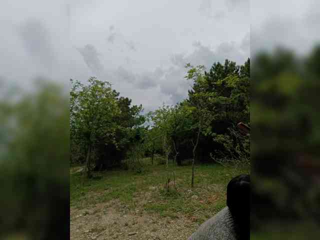 ___Pypsiki___ webcam