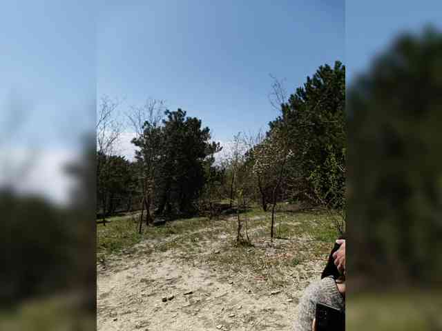 ___Pypsiki___ webcam