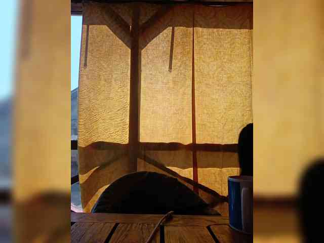 ___Pypsiki___ webcam