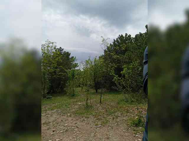 ___Pypsiki___ webcam