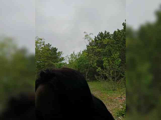 ___Pypsiki___ webcam