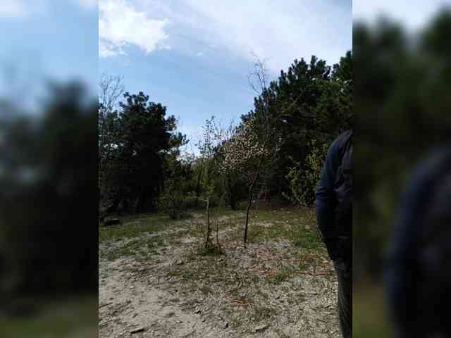 ___Pypsiki___ webcam