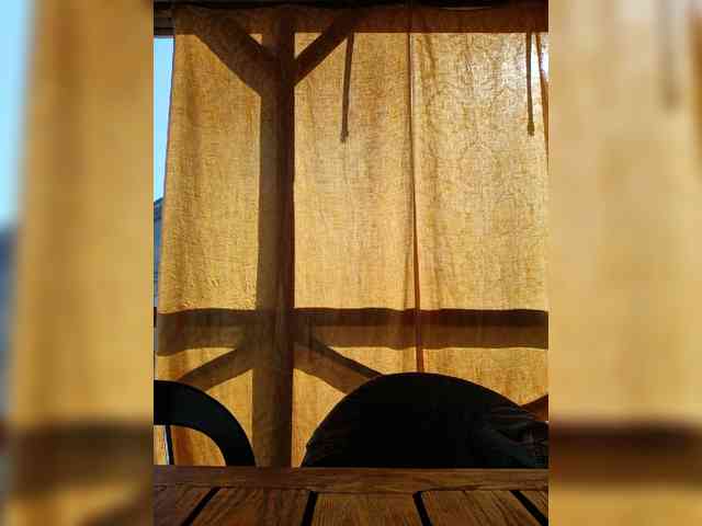 ___Pypsiki___ webcam