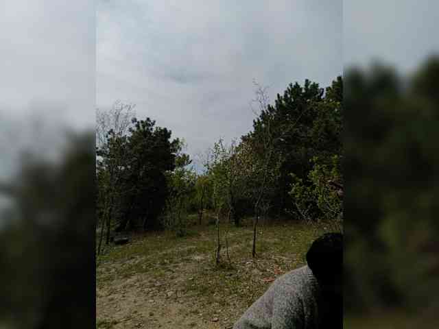 ___Pypsiki___ webcam