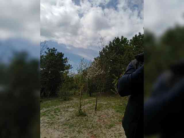 ___Pypsiki___ webcam