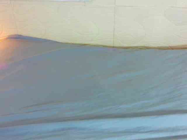 tiny-whore