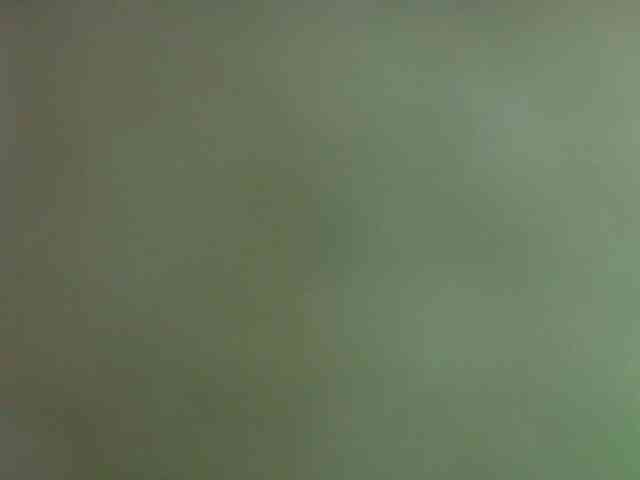 tiny-whore's live room
