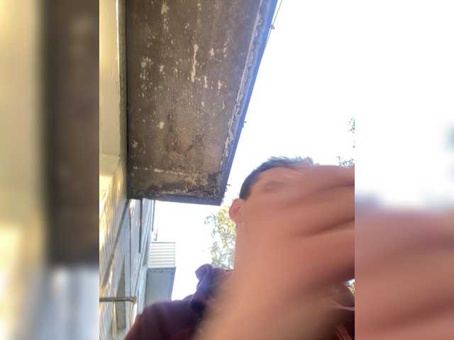 Sexspb11