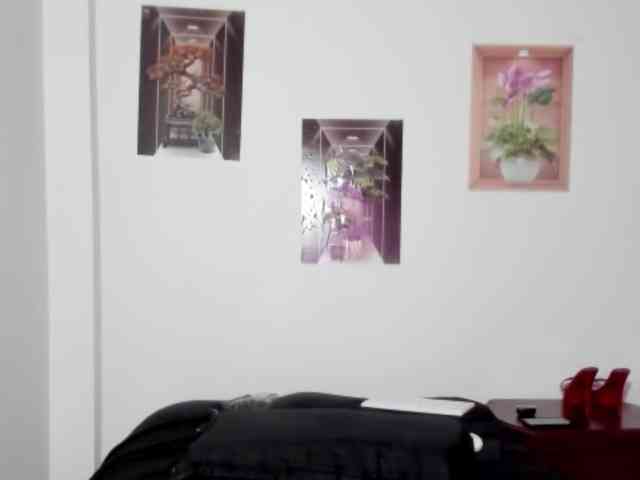 sofie-storm webcam