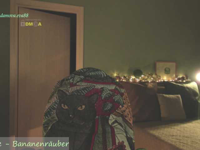 eva-adamova live cam on BongaCams