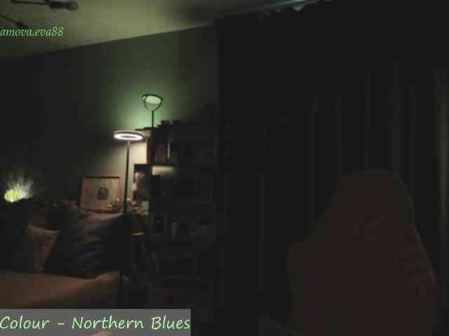 Adamova_Eva webcam