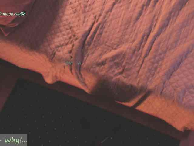 Adamova_Eva webcam