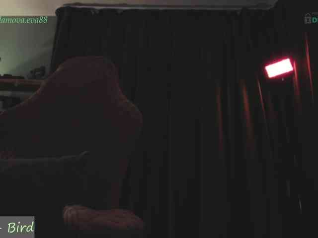 Adamova_Eva webcam