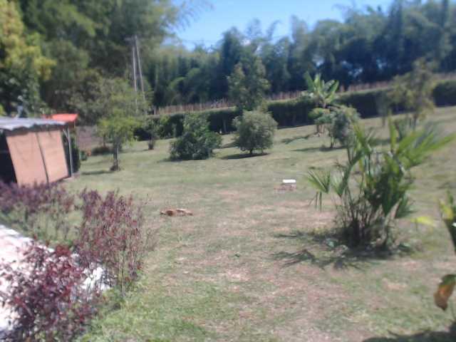 flacapaola11