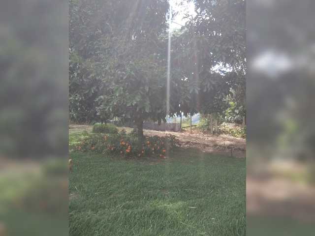 flacapaola11