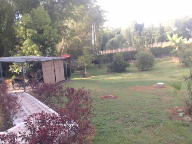 flacapaola11 live cam preview