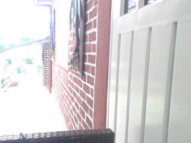flacapaola11 live cam preview