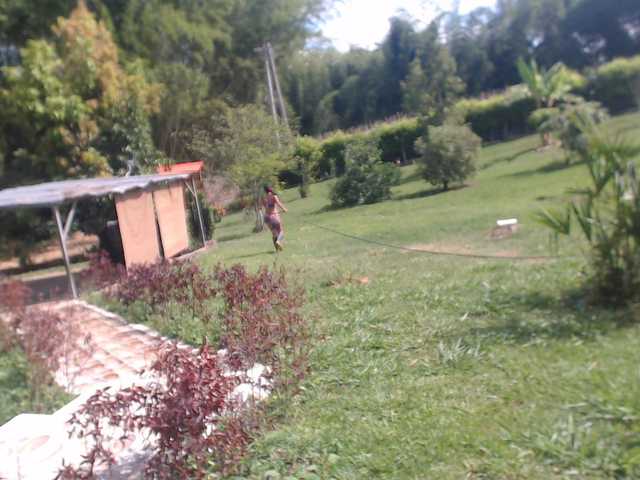 flacapaola11