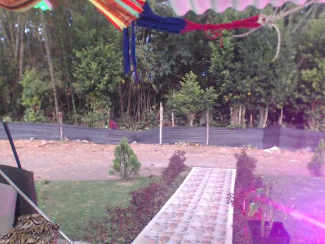 flacapaola11 live cam on BongaCams