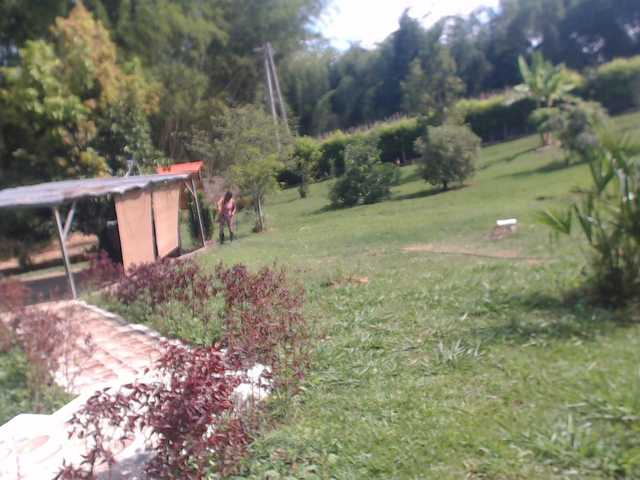 Flacapaola11