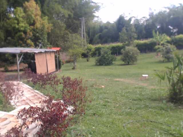 flacapaola11