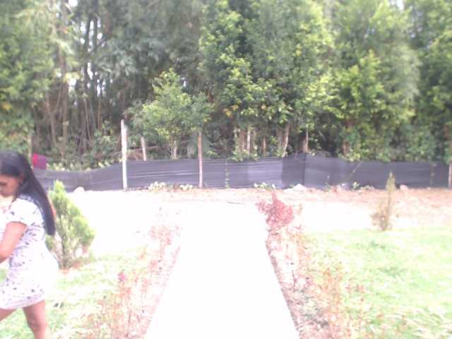 flacapaola11