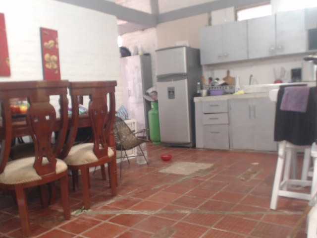 flacapaola11