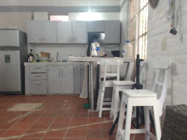 flacapaola11
