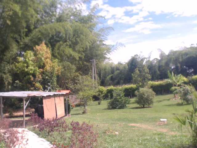 flacapaola11 live cam on BongaCams