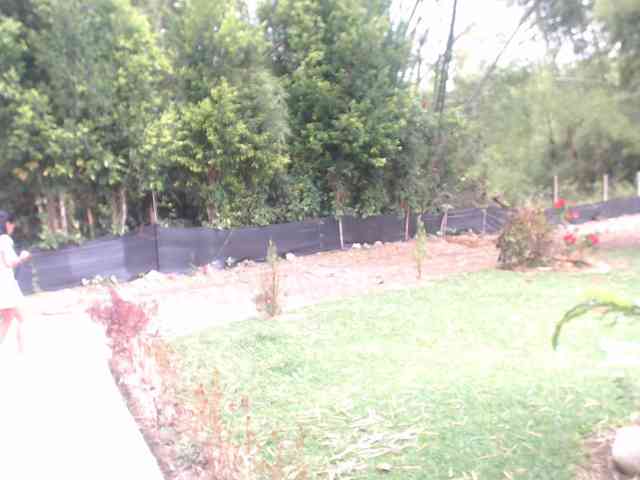 flacapaola11 webcam