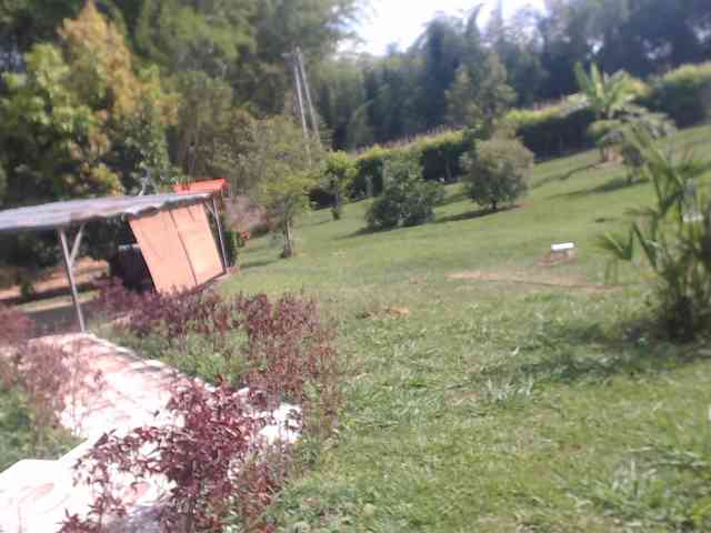 flacapaola11 webcam