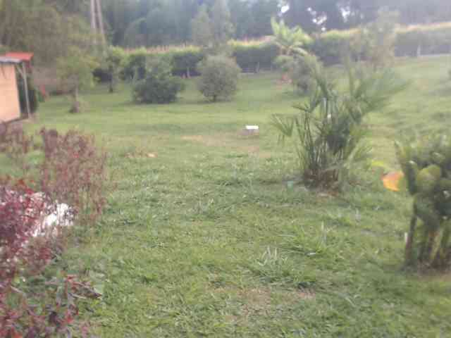 flacapaola11 webcam