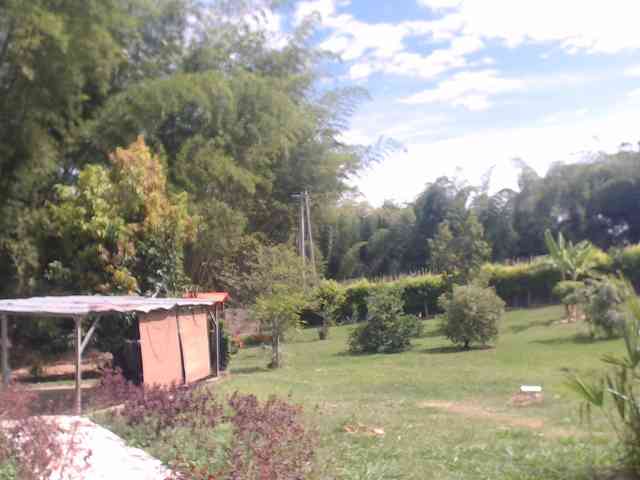 Model: flacapaola11