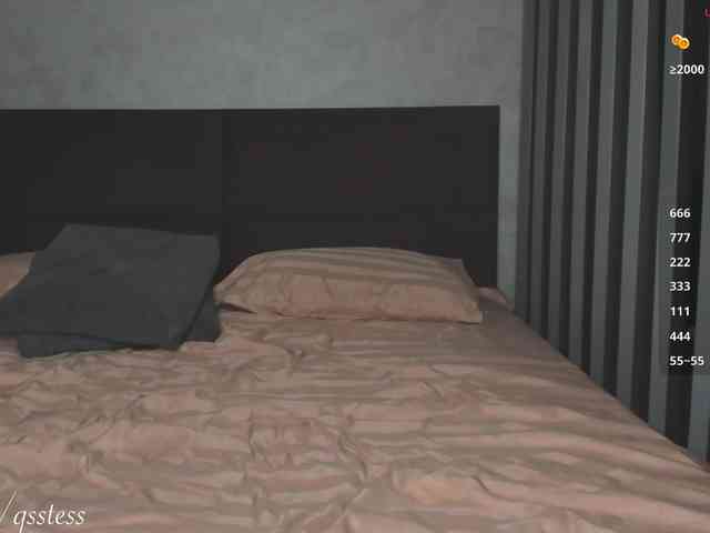 qsstess webcam