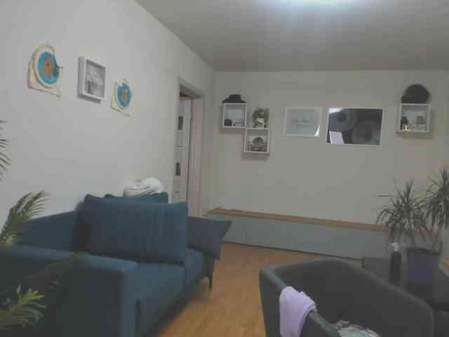 mel-collins webcam