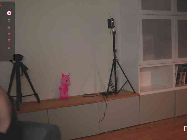 mel-collins webcam